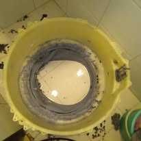 Тазалау. Чистка. Cleaning.