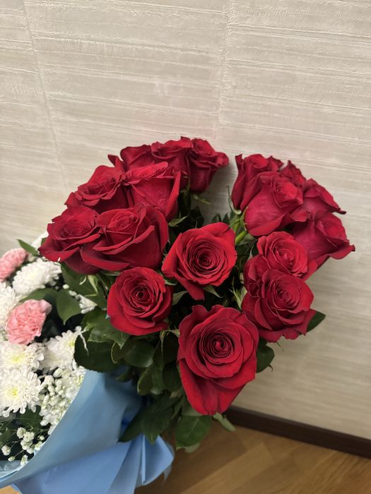 Цветы тараз новые