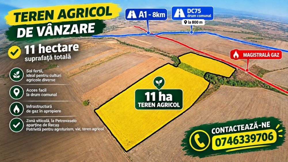 Propietar -Teren 11 ha  comasat –Petrovaselo, Recaș | vie / investiție
