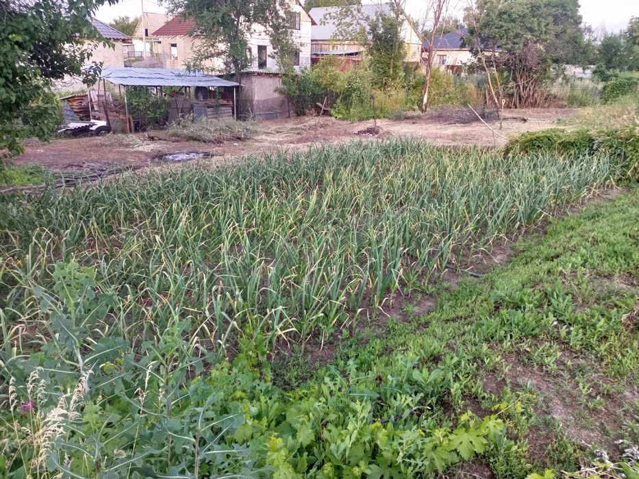 Дом  частный из двух половин