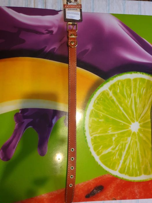 Ошейник кожа