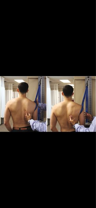 Antrenor fitness/personal personalizare expert kinesiologie tropologie