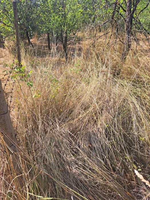 Косене на тревни площи,рязане на дърва,кастрене на дървета.