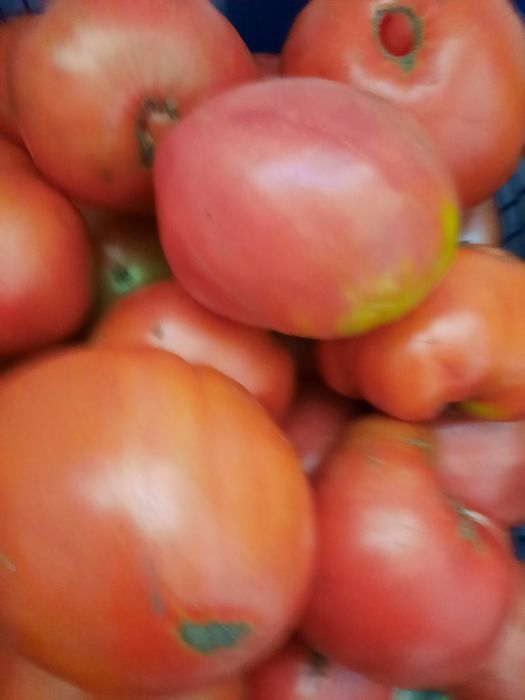 Продам помидоры домашние крупные