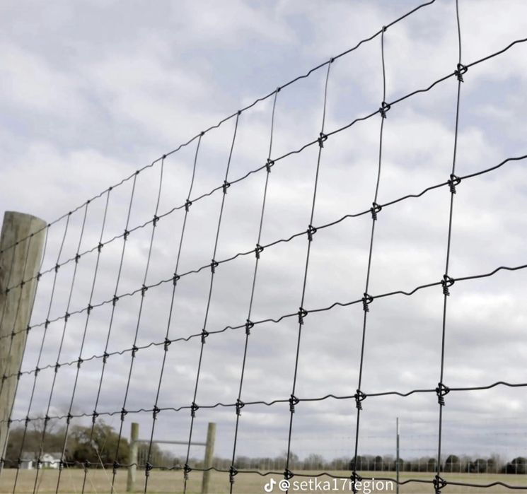 Чабанка сетка 1.50/50м оцинковка шірімейд