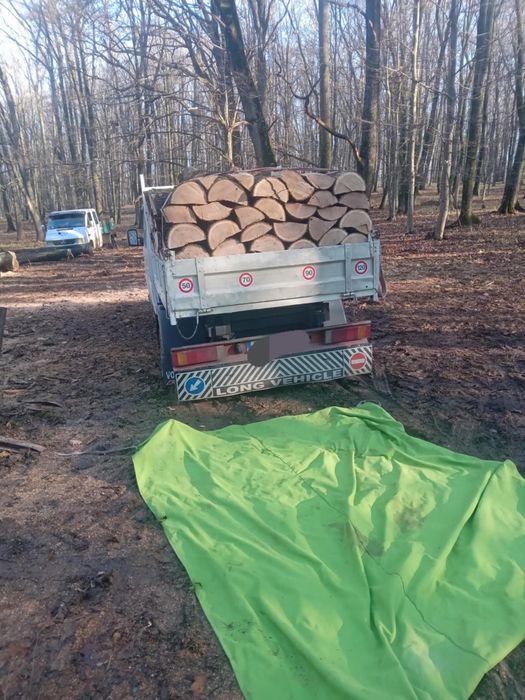 Vand lemne calitate si cantitate