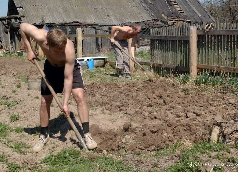 Вспашка земли мотоблоком Уборка териитории