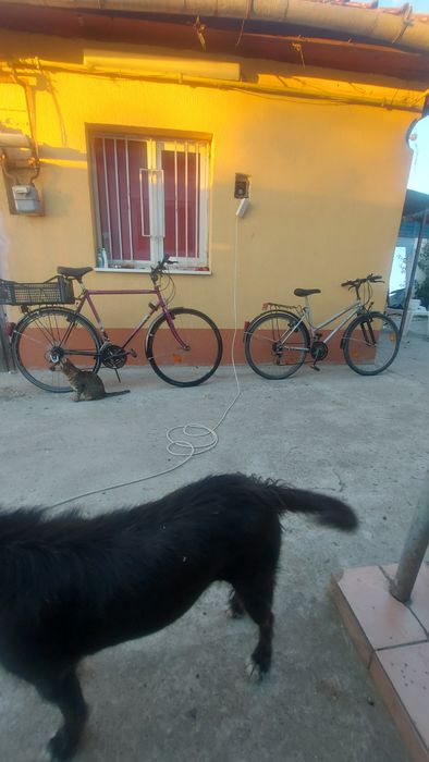 Vand biciclete 1 barbateasca si 1 de dama