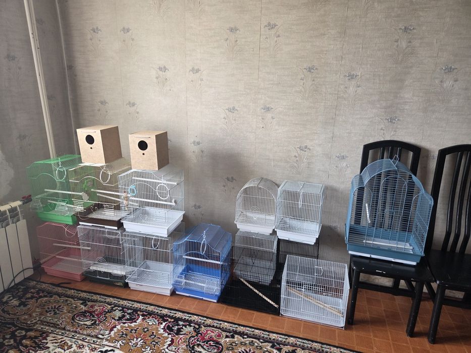 Продам клетки разного размера гнездо