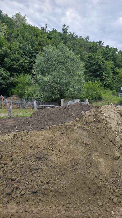 Pamant de gradina Chisai de gazon sau mranita