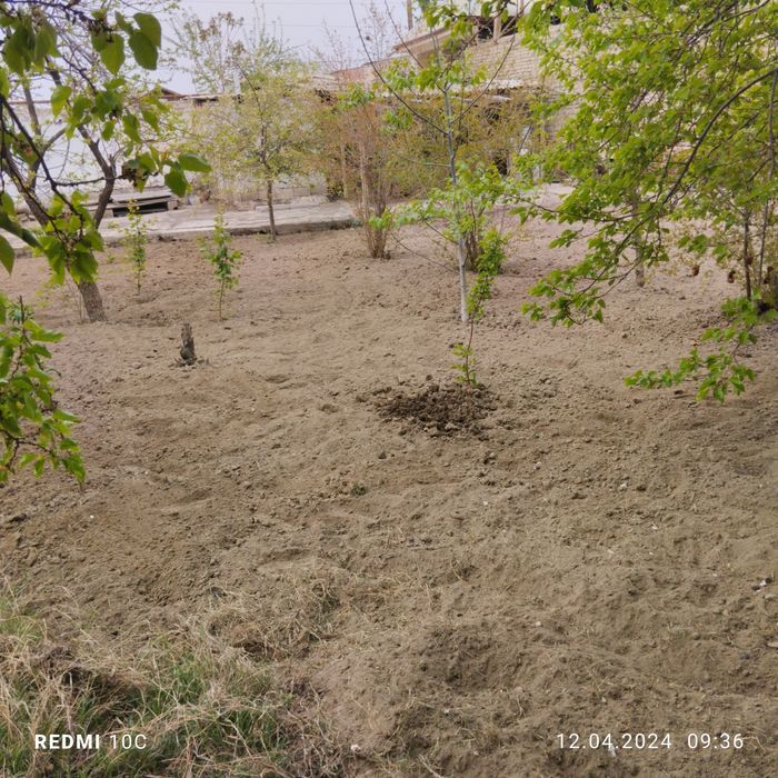 Земля горд Фергана ул мустакиллик аринтор автобаза-64.