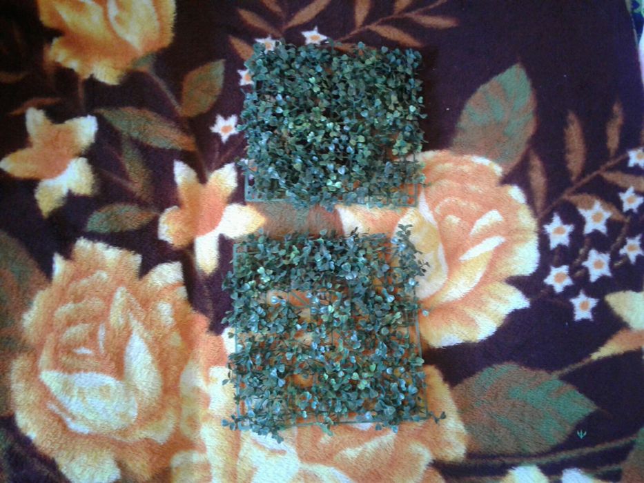 Продам или обмен