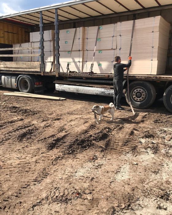 Оптовый Фанера из 3mm до 21mm