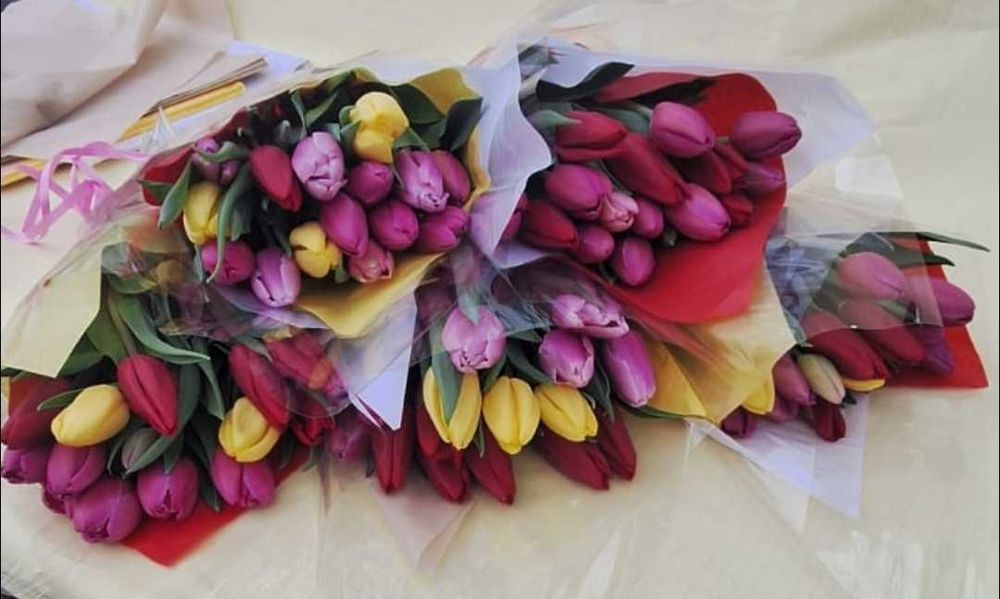 Голландские тюльпаны. Оптом и в розницу..