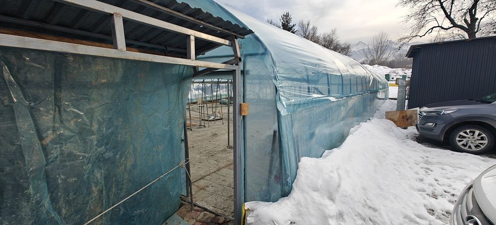 Сдается в аренду теплица 400 м2