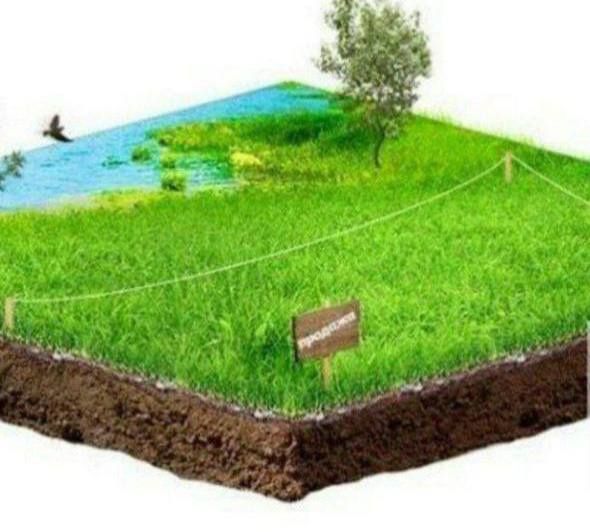 Тошкент тумани Келес райгаз кўчада ишлаб чиқаришга жой сотилади