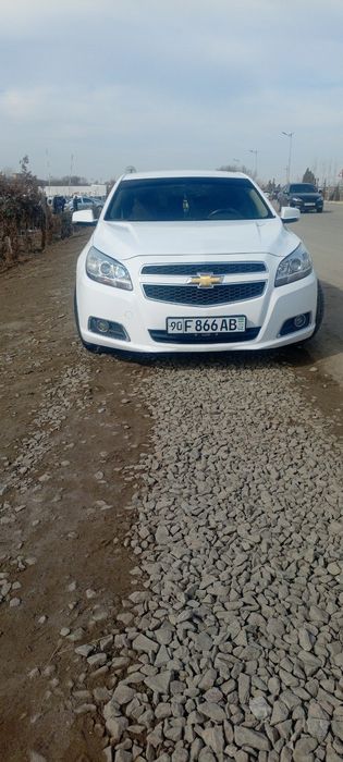 Malibu sotiladi  2015