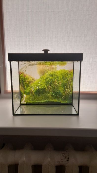 Продам аквариум  не дорого