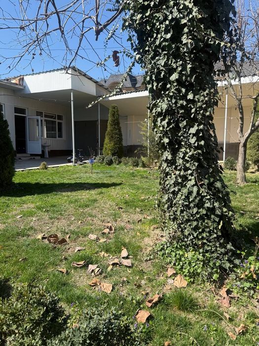 Чайхана салом, Миршкор, продается земельный участок 10,7-соток