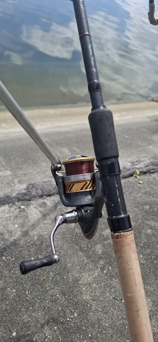 Mulineta daiwa laguna