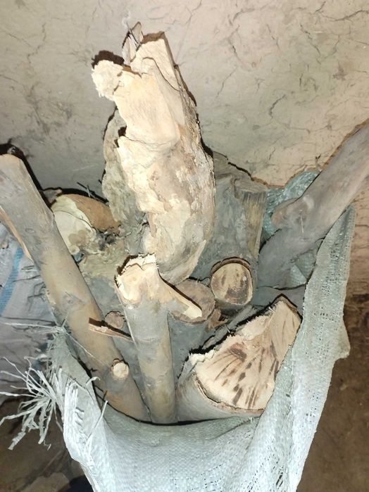 Құрғақ отын/сухие дрова