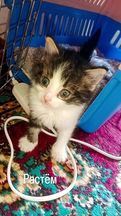 Малышка по имени Зайка