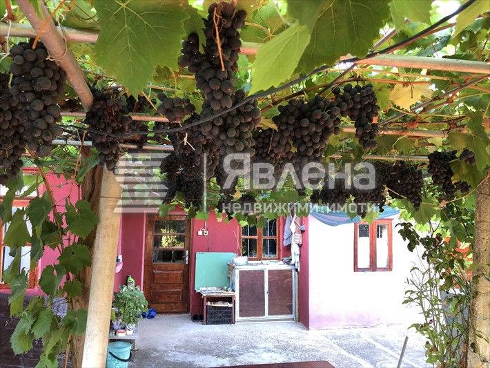 Продава се Къща в с. Видно, Област Добрич - 150 кв.м за 400 €/кв.м - Снимка #5