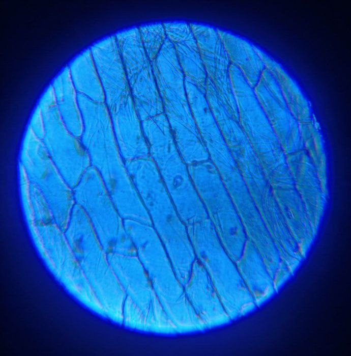 Продаю карманный микроскоп