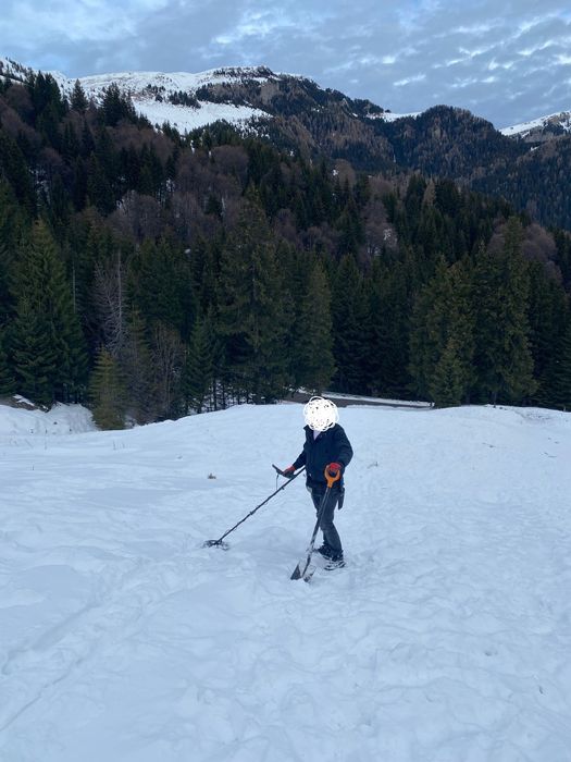 Detectie detector metale