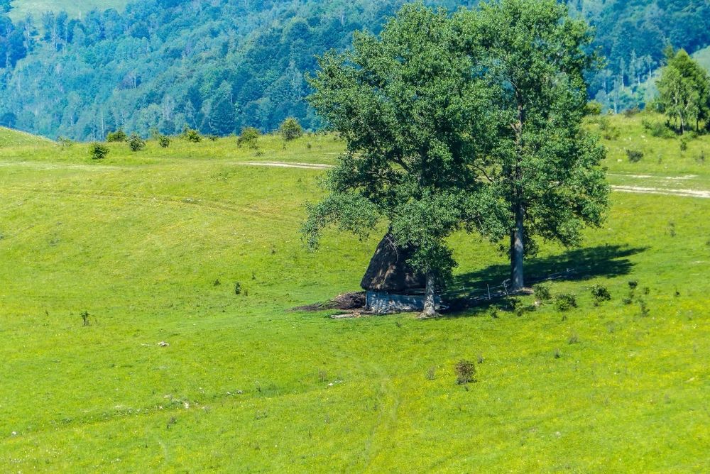 Teren de vanzare an com ponor