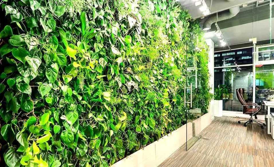 Газон с Цветами на стену - Фитостена 40х60см