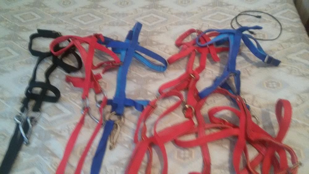 продам недоуздки, уздечки