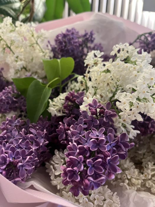 Свежие цветы. Продам