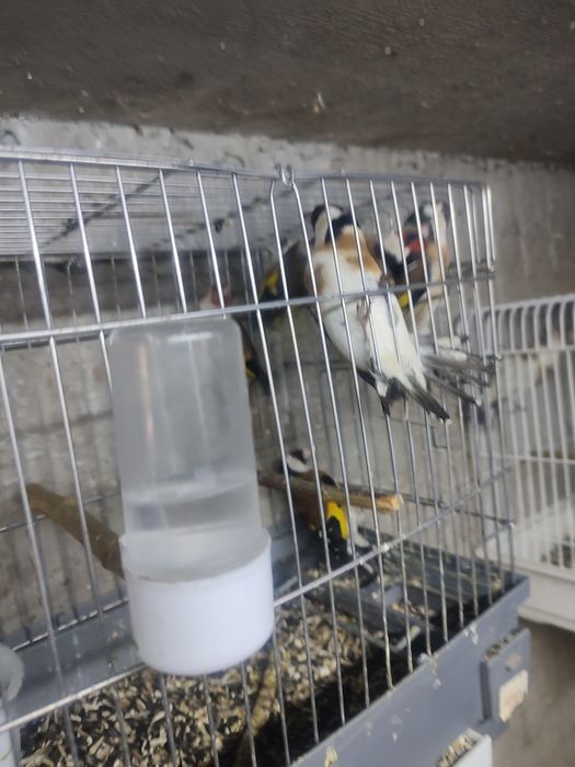 ПРОДАМ СРОЧНО  зимники и летники