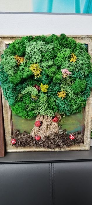 Декорации с жив Скандинавски мъх и