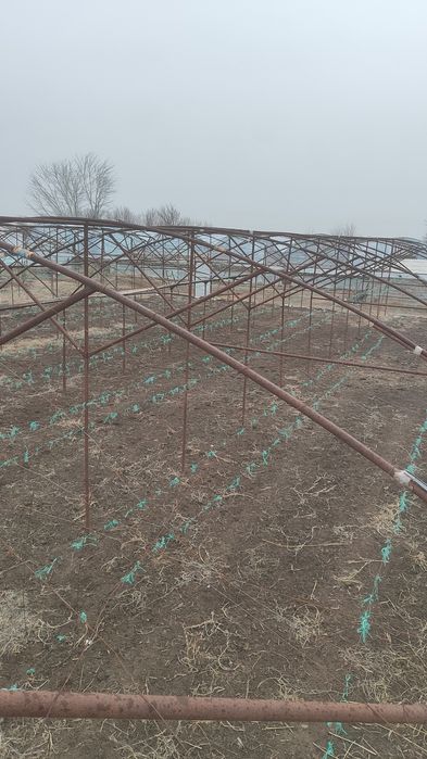 Теплица Жылыжай сатылады