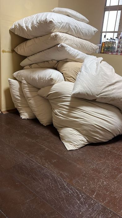 Vând pene în stare foarte buna, verificate.