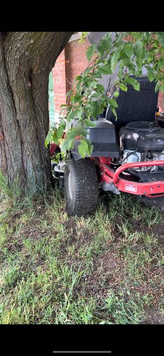 Tund iarba pe zona Oradea