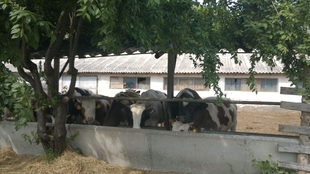 Продава се Парцел в Костенец - 14650 кв.м за 14 €/кв.м - Снимка #21