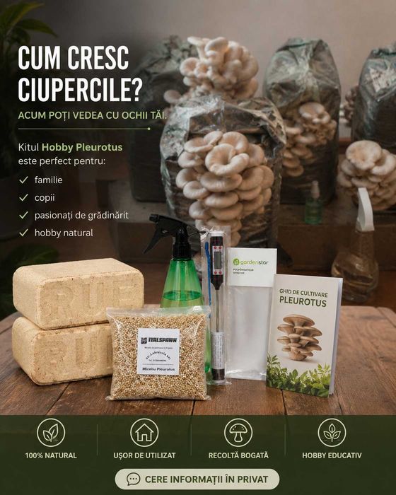Kit complet-Cultiva Pleurotus acasa,