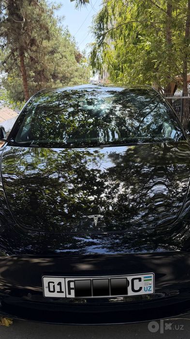 Tesla Model 3 Standard Range Plus 2022