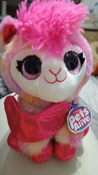 Pers Alice, Masha, păpuși din Frozen și diverse păpuși mici