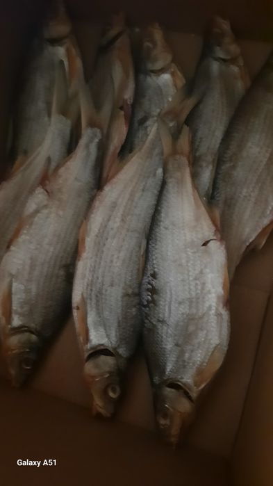 Рыба сушенная свежак