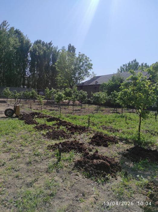 Ер сотилади 9 сотх