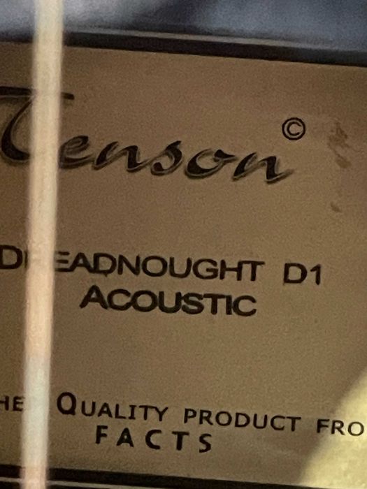 Chitara Acustica Tenson D1 Dreadnought