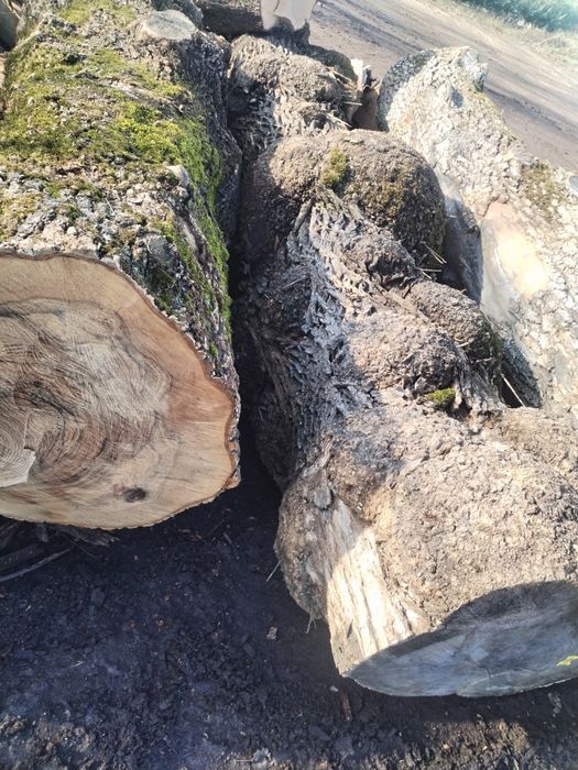 Blaturi pentru proiecte rășină