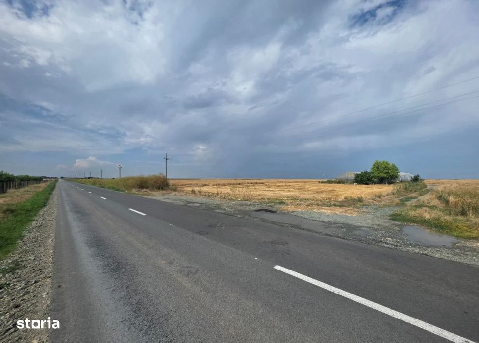 Teren intravilan 7ha, deschidere 234m la drum judetean, Mihail Kogalni