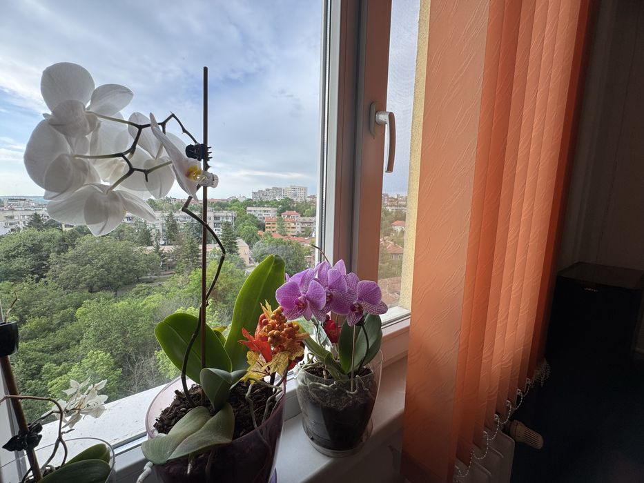 Продава се Двустаен апартамент в Плевен, Мара Денчева - 65 кв.м за 2000 €/кв.м - Снимка #7