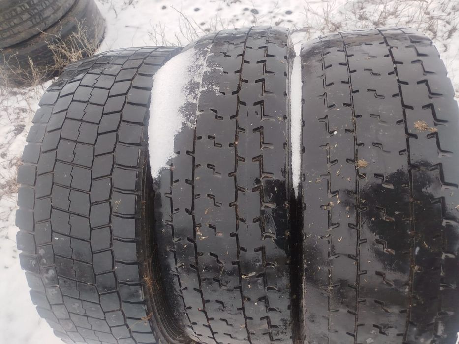 Донгелек сатылаты