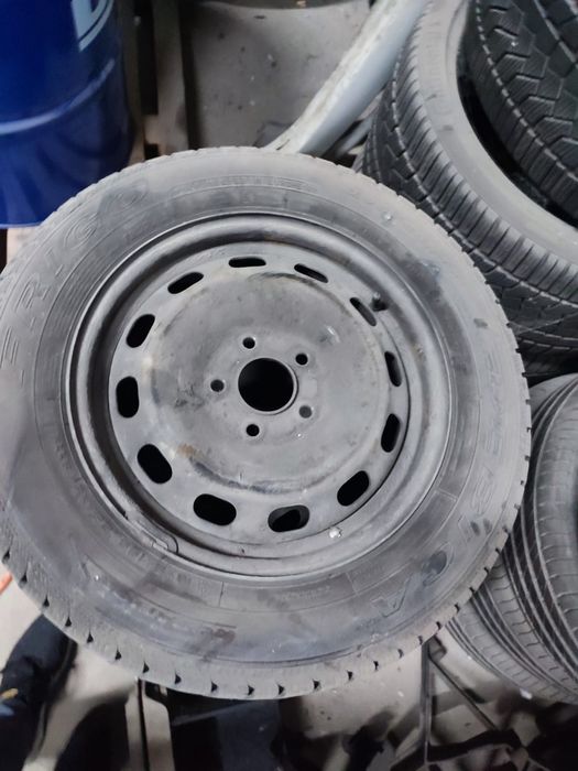 Roti iarna ..       .